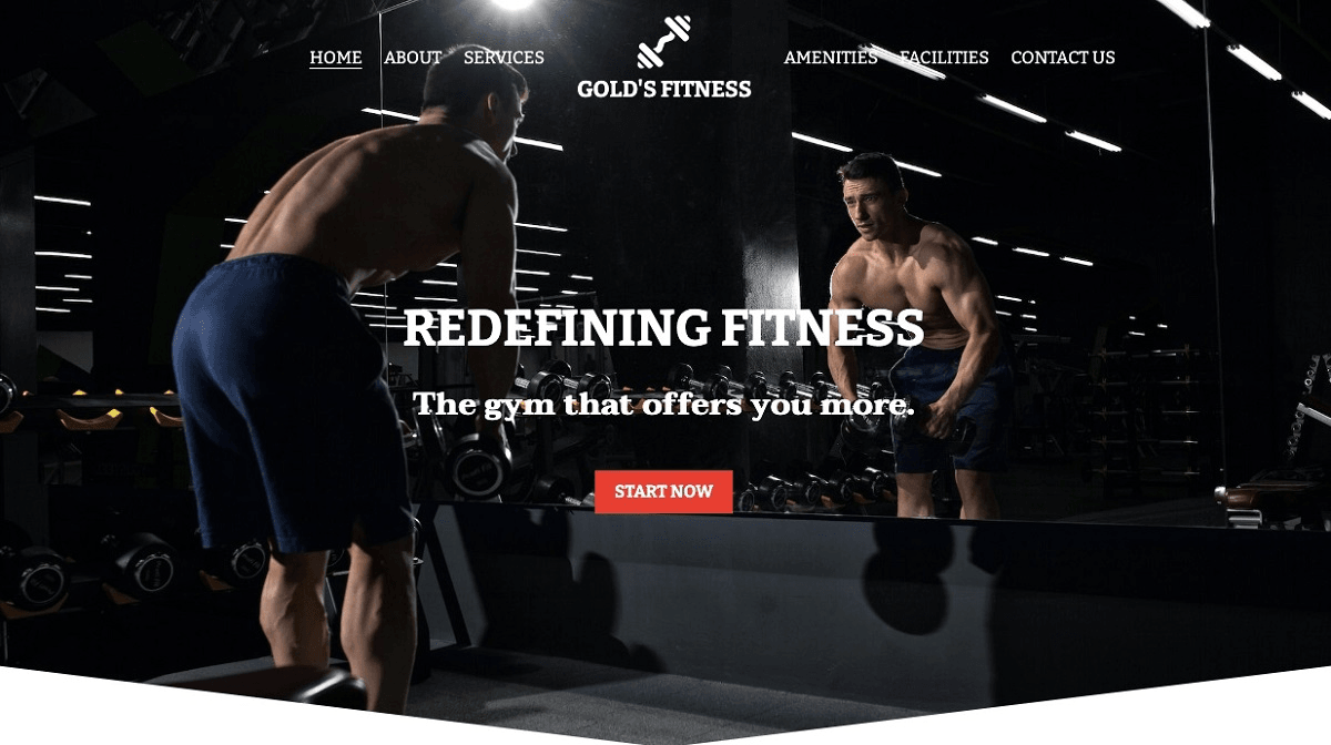 null Template de site web